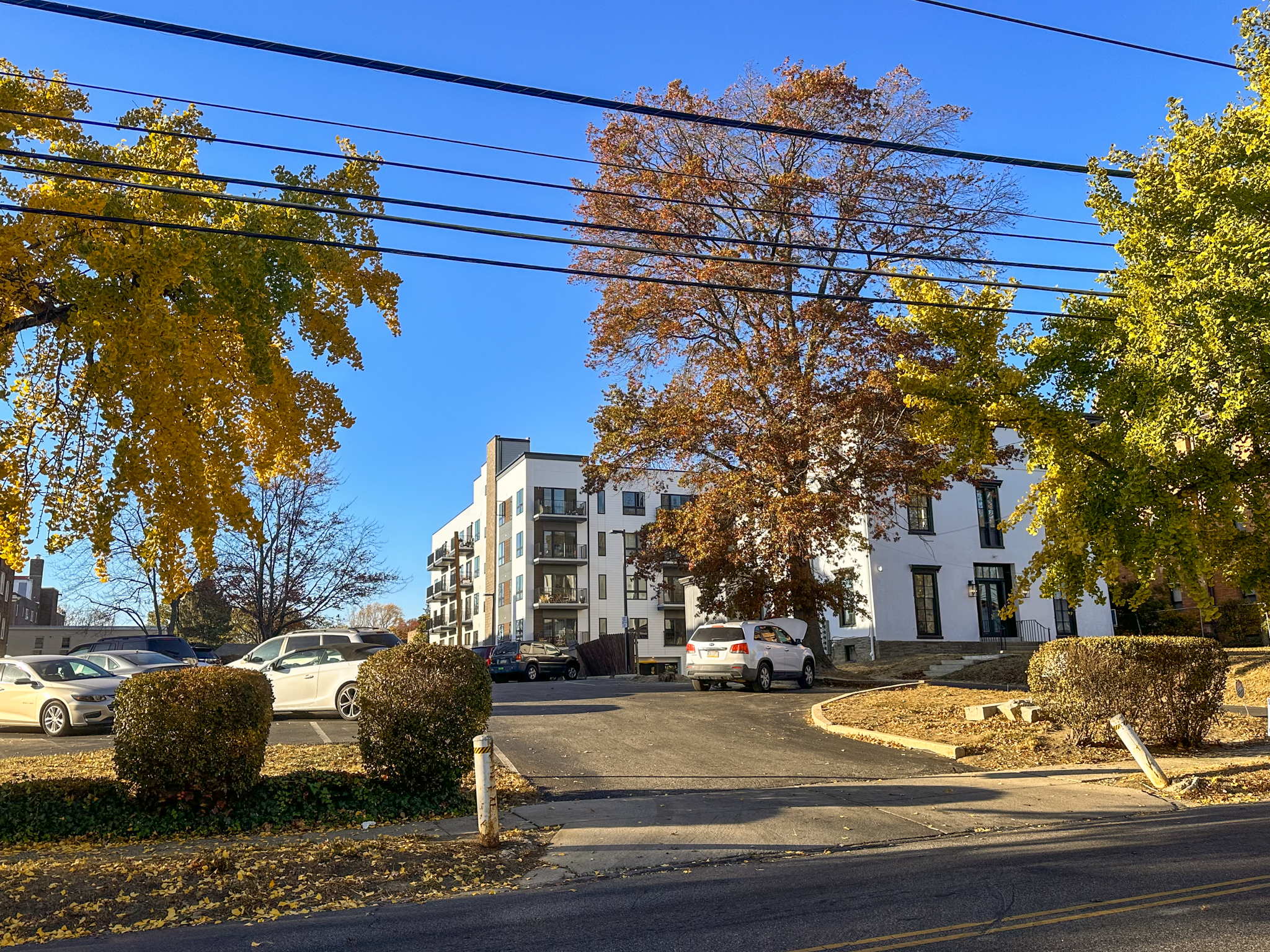 231 West Johnson Street. Photo by Jamie Meller. November 2024